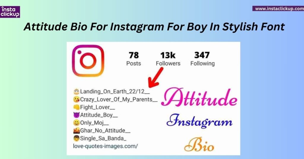 Attitude Bio For Instagram For Boy In Stylish Font