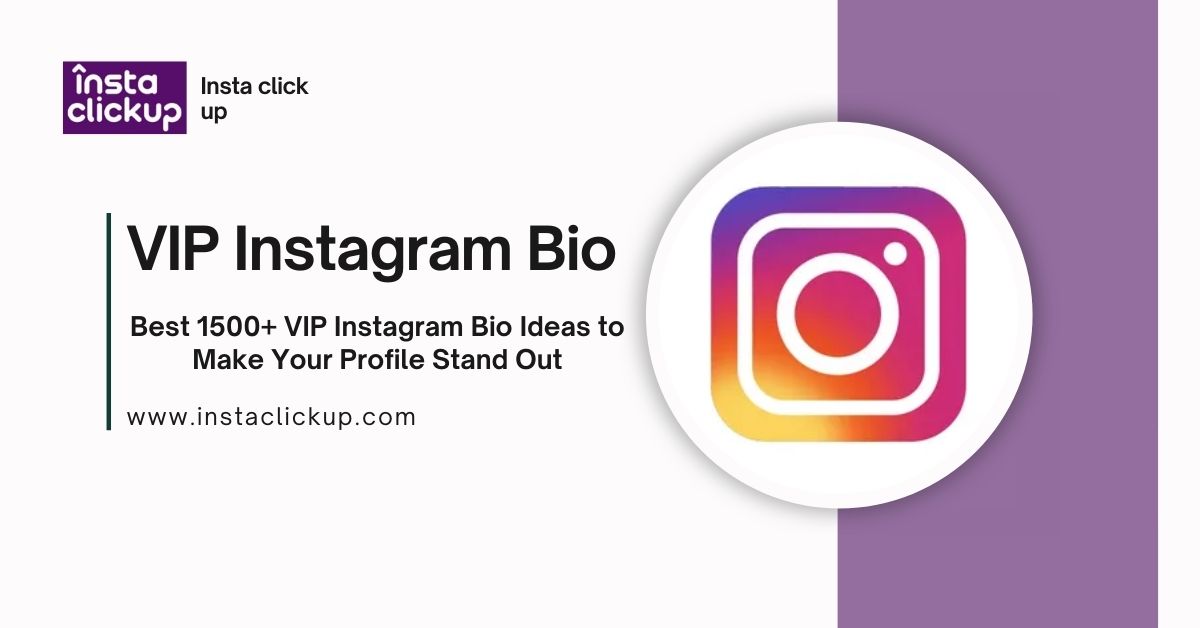 Best 1500+ VIP Instagram Bio Ideas to Make Your Profile Stand Out