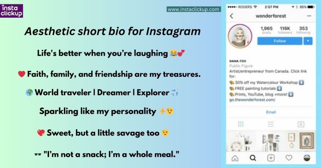 Aesthetic short bio for Instagram