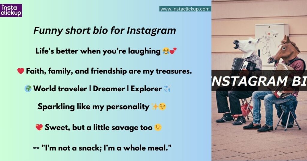 Funny short bio for Instagram