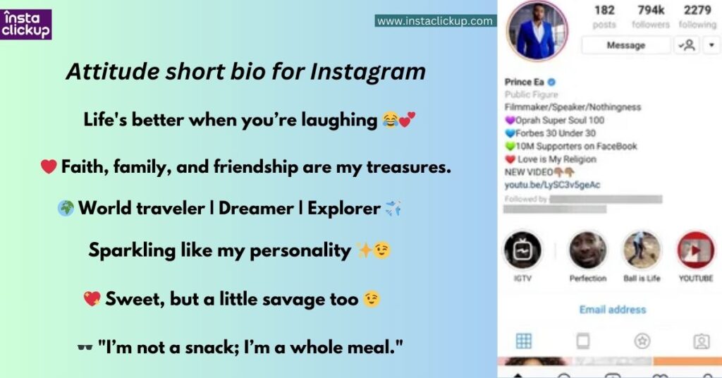 Attitude short bio for Instagram