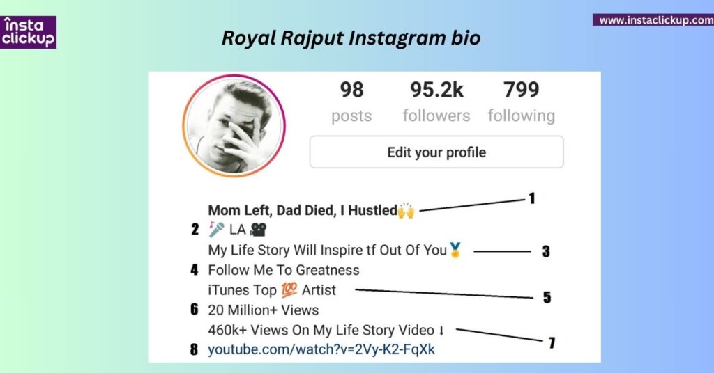 Royal Rajput Instagram bio