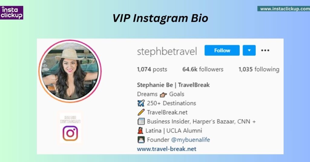 VIP Instagram Bio