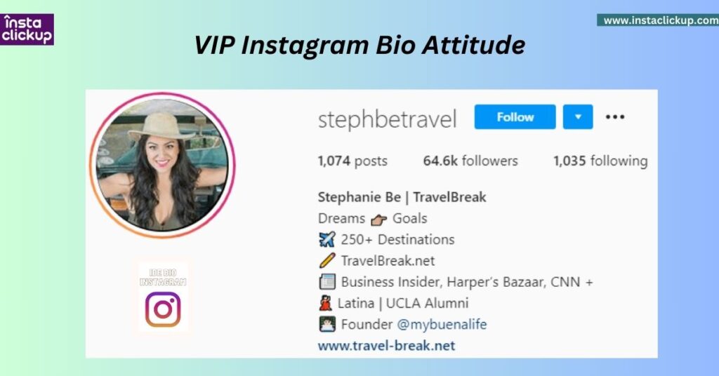 VIP Instagram Bio Attitude