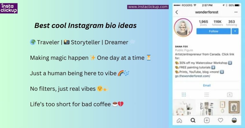 Best cool Instagram bio ideas