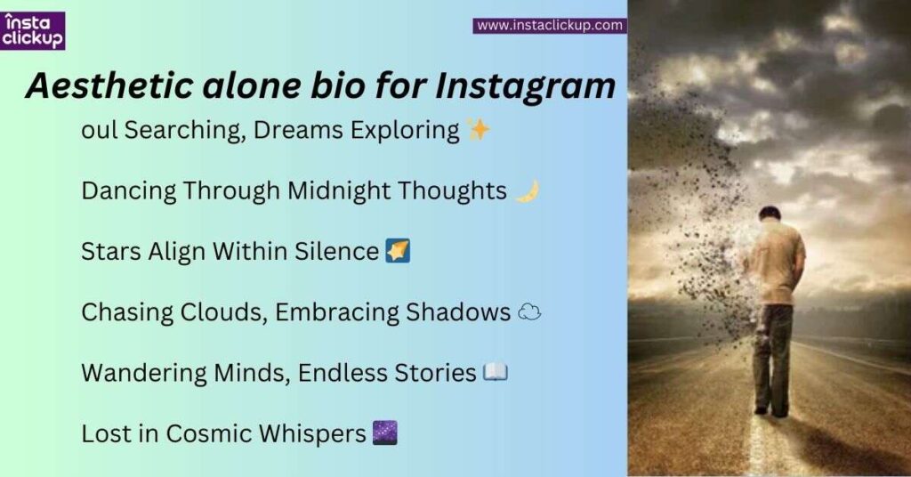 Aesthetic alone bio for Instagram