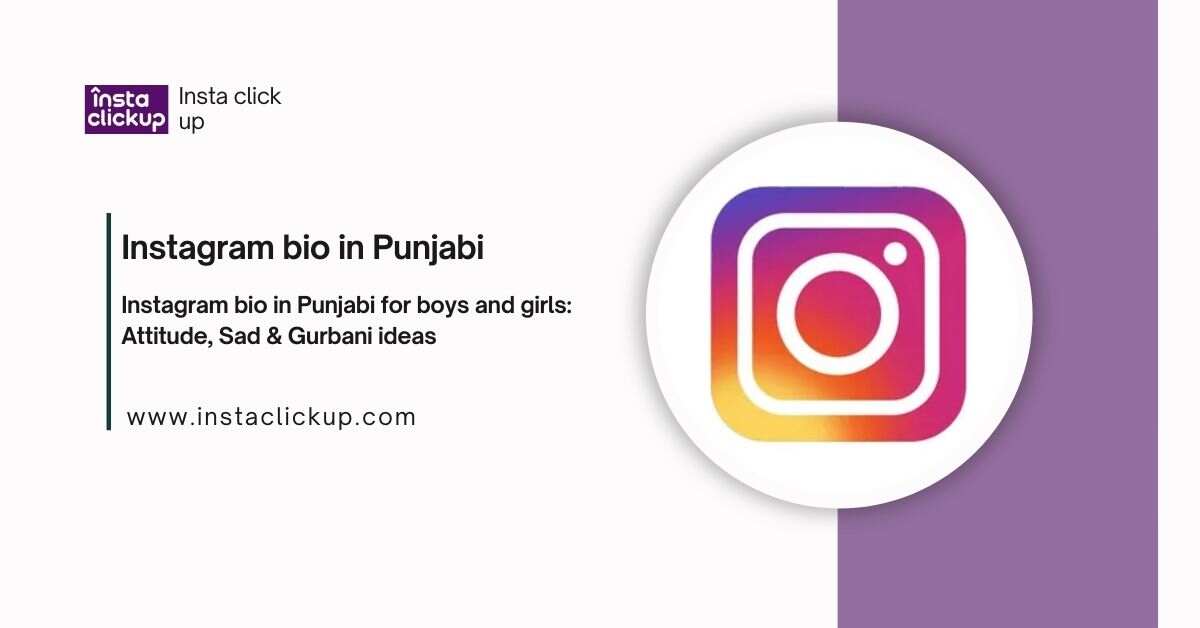 Instagram bio in Punjabi