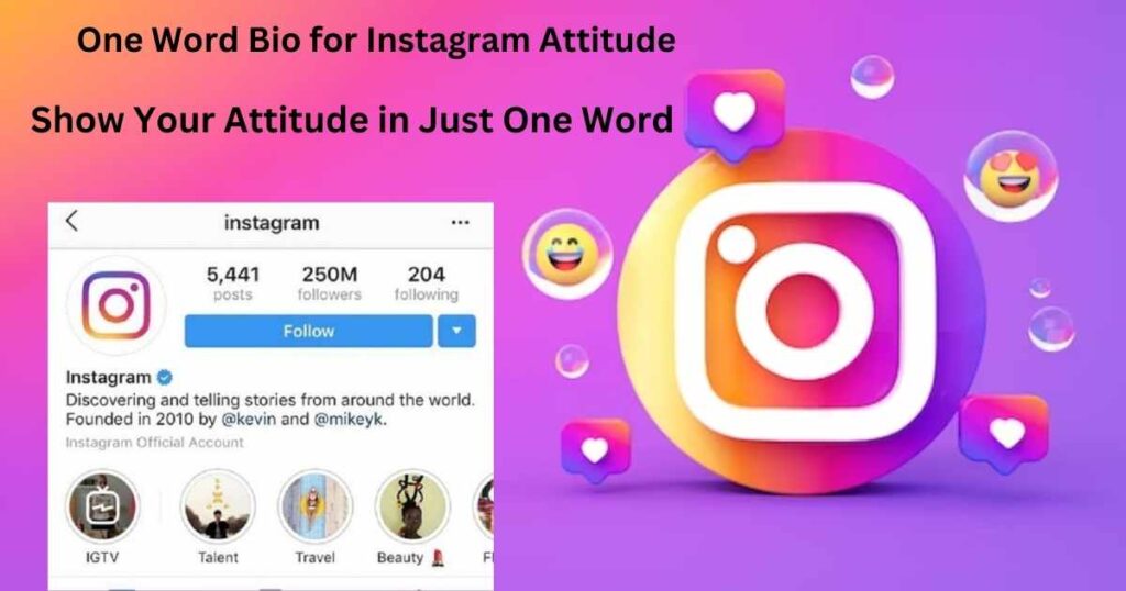 One Word Bio for Instagram Attitude: Show Your Attitude in Just One Word