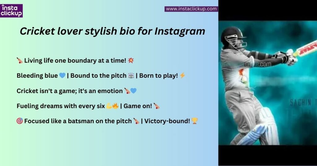 Cricket lover stylish bio for Instagram