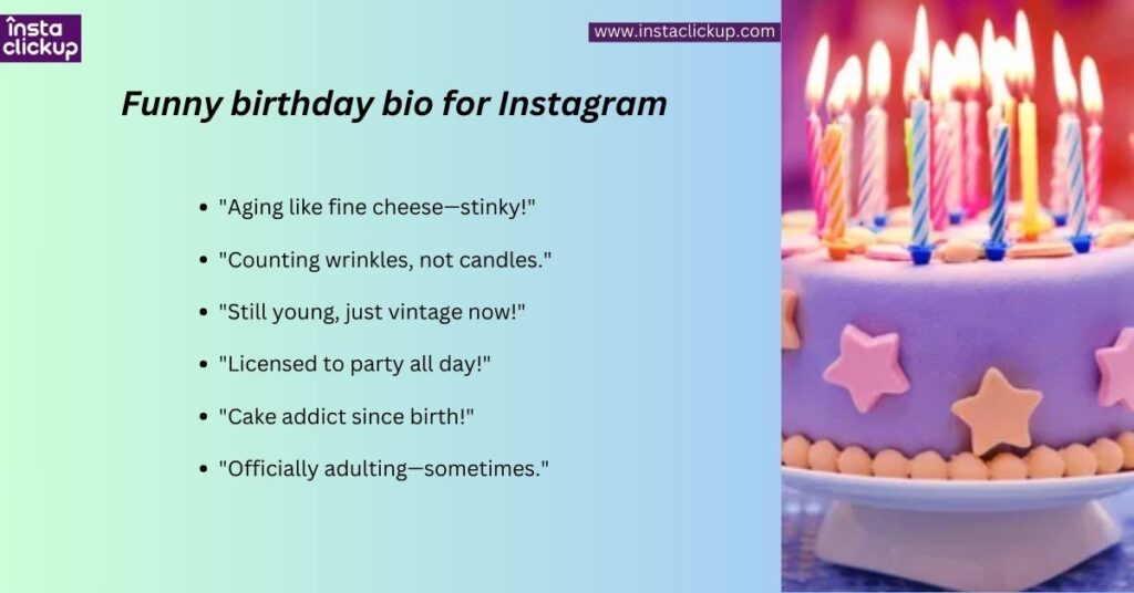 Funny birthday bio for Instagram