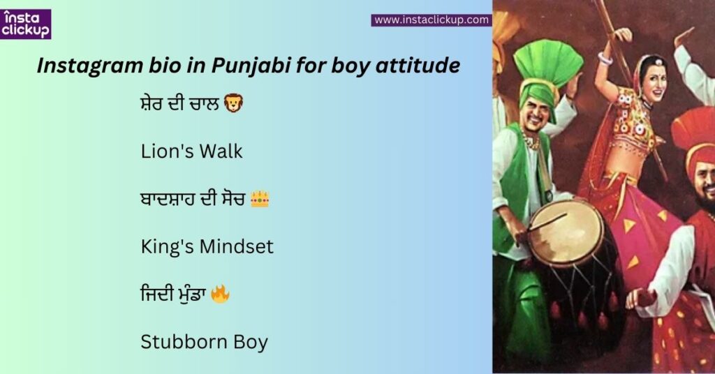 Instagram bio in Punjabi for boy attitude