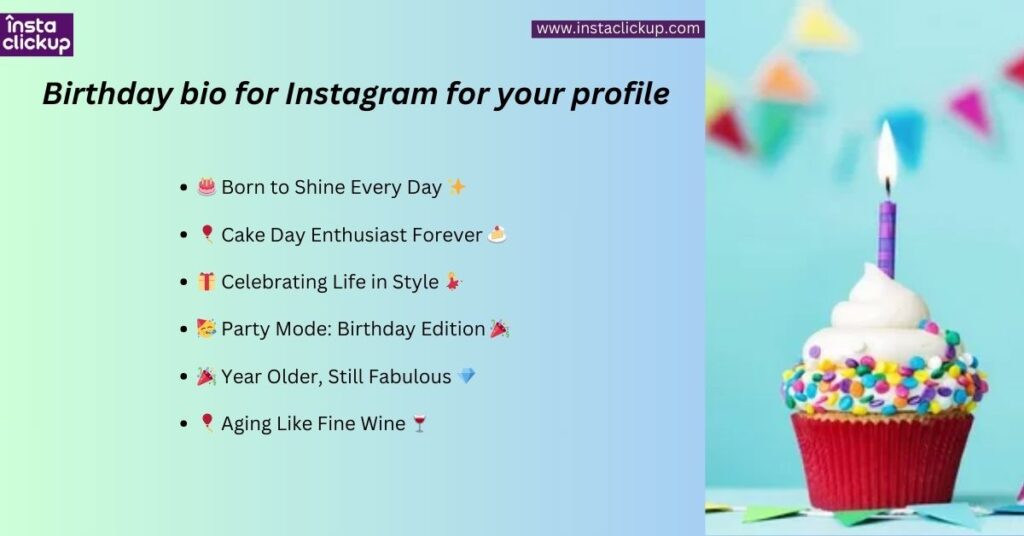 Birthday bio for Instagram for your profile