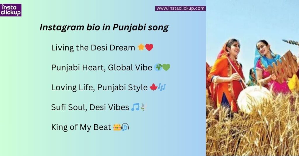 Instagram bio in Punjabi song