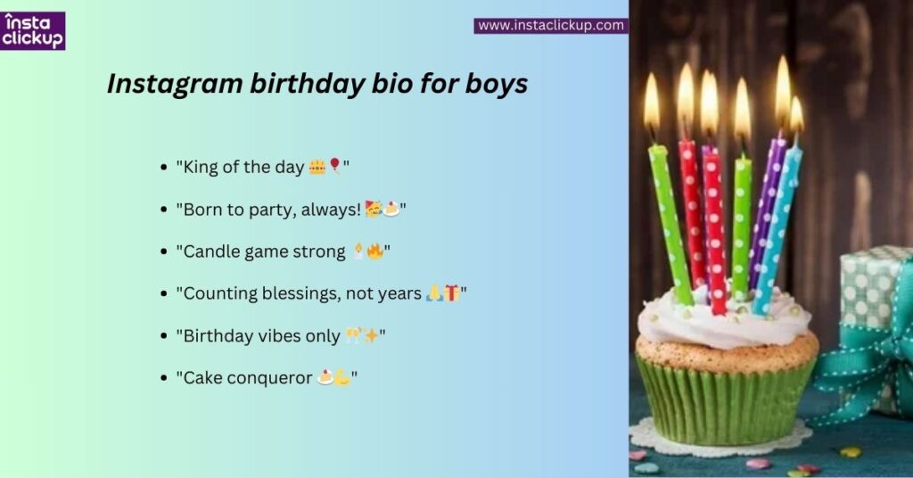 Instagram birthday bio for boys