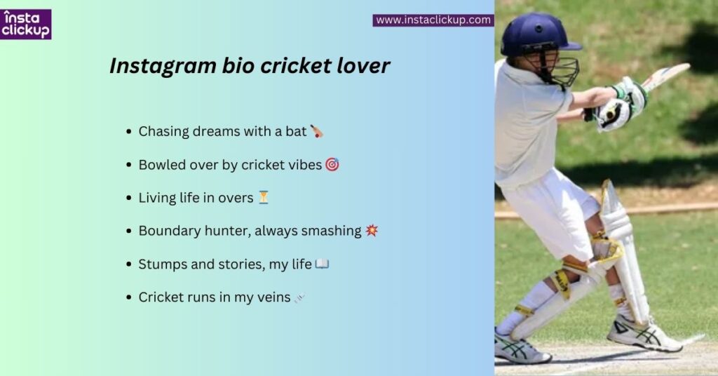 Instagram bio cricket lover