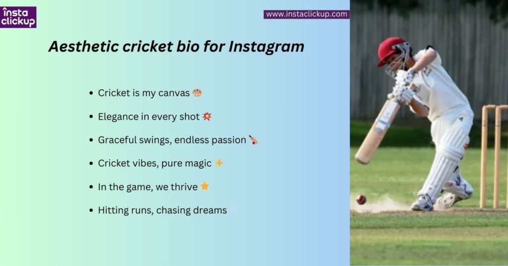 Aesthetic cricket bio for Instagram