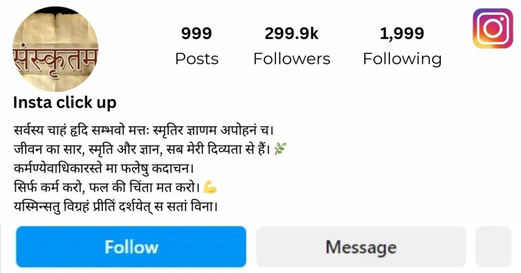 Sanskrit Shlok For Insta Bio