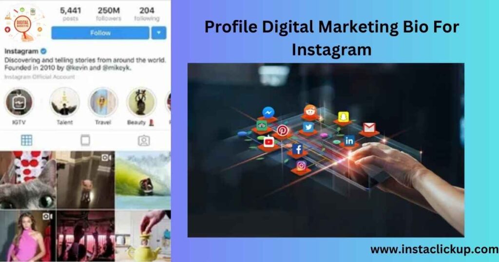 Profile Digital Marketing Bio For Instagram