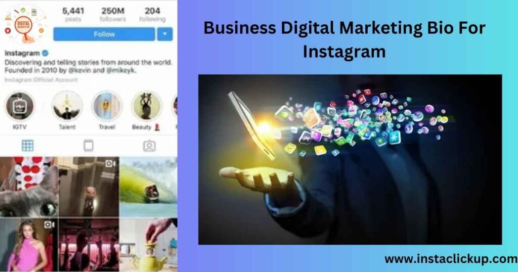 Business Digital Marketing Bio For Instagram