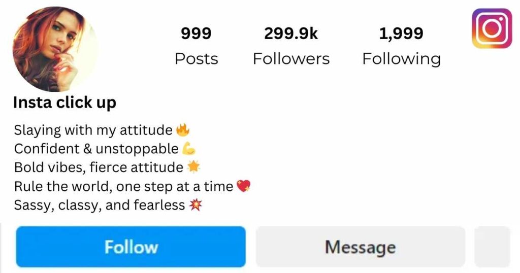 Instagram Bio For Girls Stylish Font Attitude