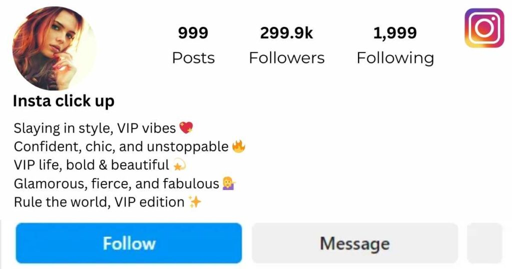 Stylish VIP Instagram Bio For Girls