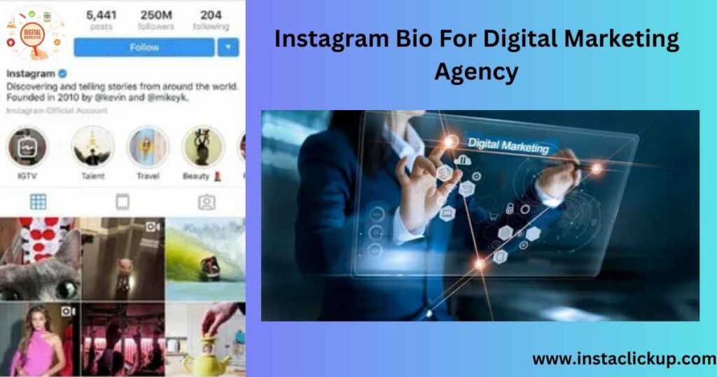 Instagram Bio For Digital Marketing Agency