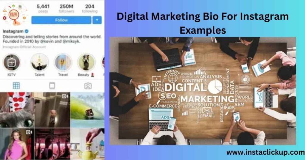 Digital Marketing Bio For Instagram Examples