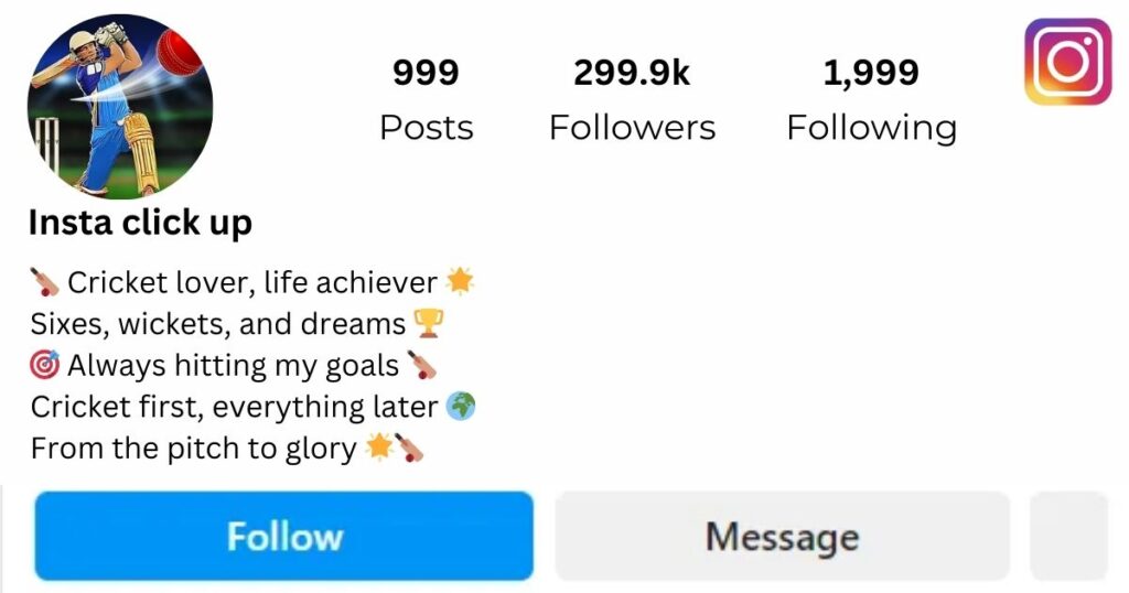 Instagram Bio For Cricket Lover