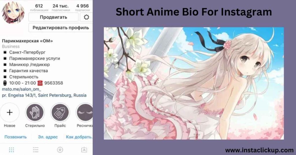 Short Anime Bio For Instagram