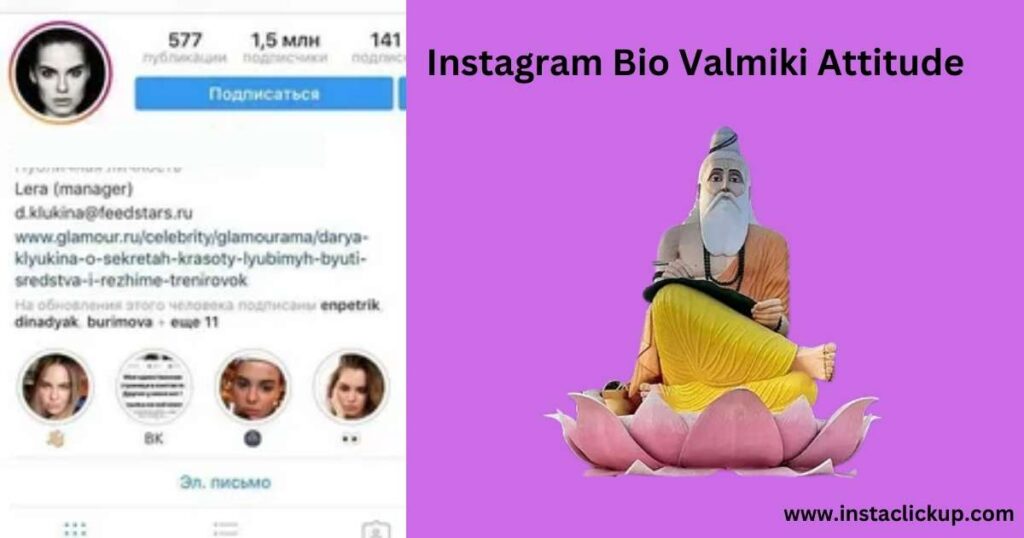 Instagram Bio Valmiki Attitude