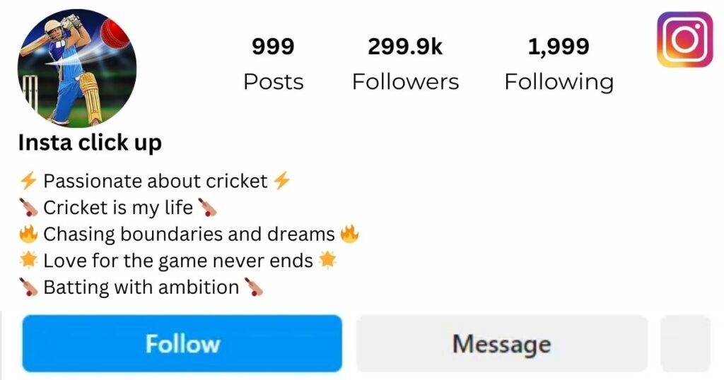 Instagram Bio For Cricket lovers in English