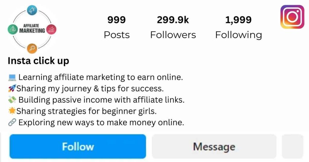 Affiliate Marketing Bio For Instagram Copy And Paste For Girl