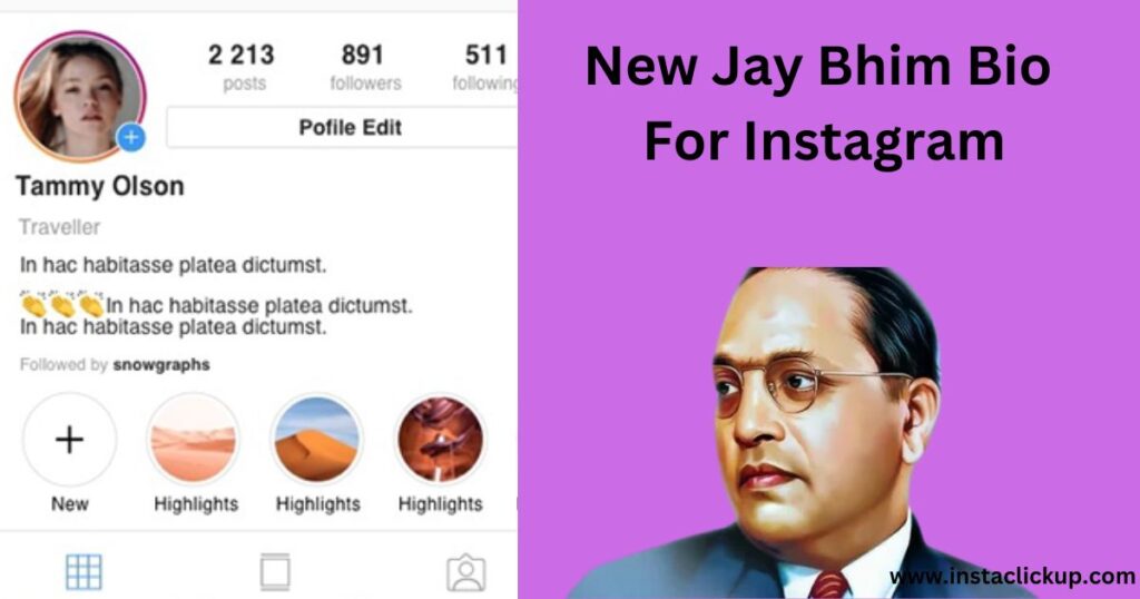 New Jay Bhim Bio For Instagram