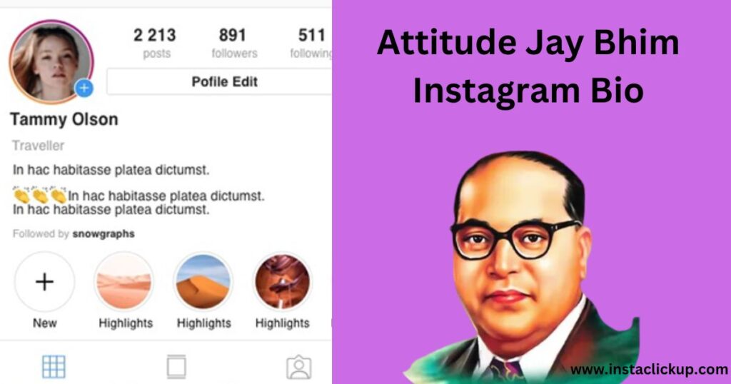 Attitude Jay Bhim Instagram Bio