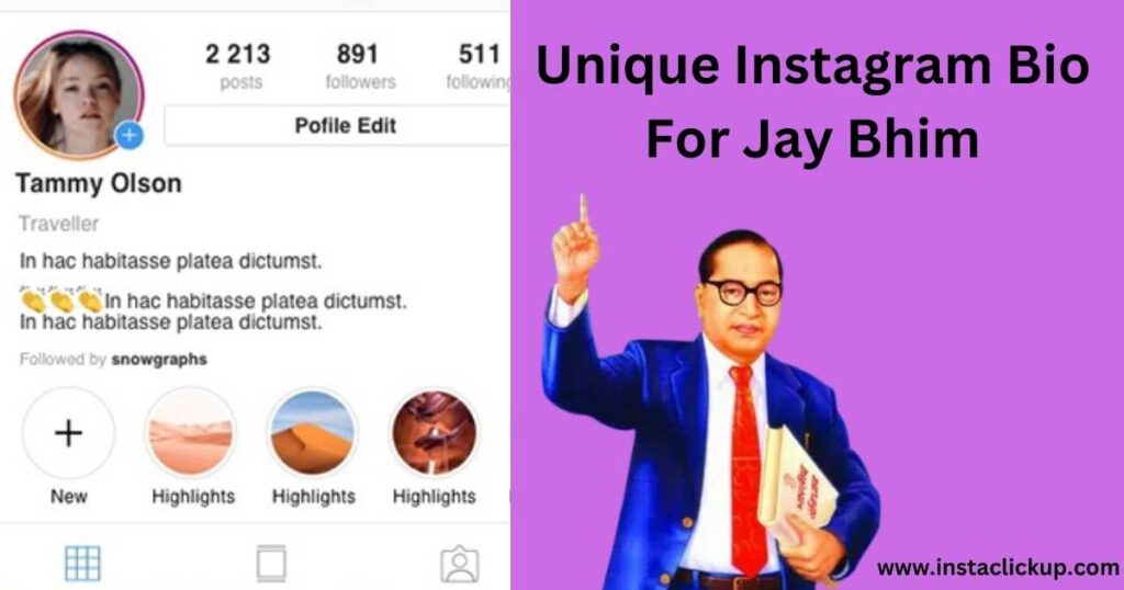 Unique Instagram Bio For Jay Bhim