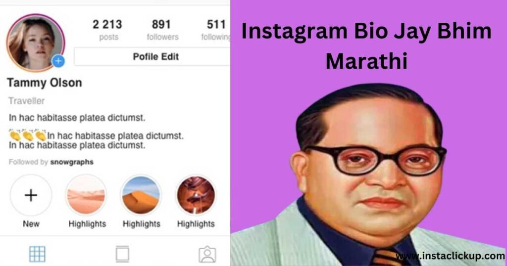 Instagram Bio Jay Bhim Marathi