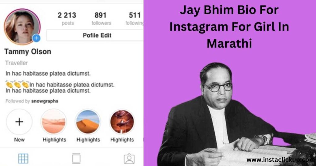 Jay Bhim Bio For Instagram For Girl In Marathi