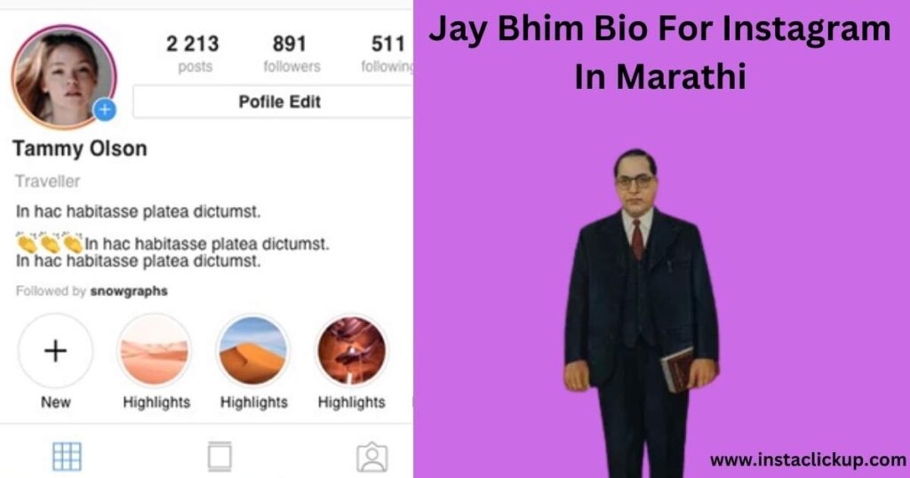 Jay Bhim Bio For Instagram In Marathi