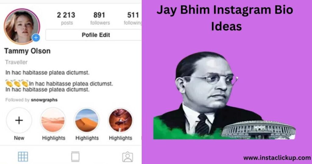 Jay Bhim Instagram Bio Ideas