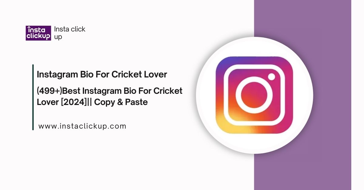 Instagram Bio For Cricket Lover